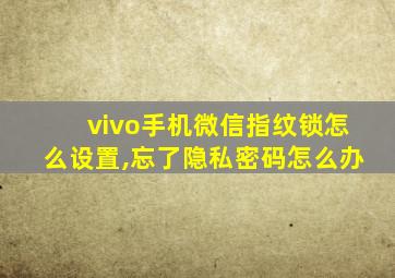 vivo手机微信指纹锁怎么设置,忘了隐私密码怎么办