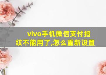 vivo手机微信支付指纹不能用了,怎么重新设置