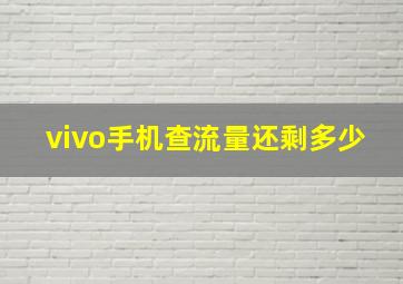 vivo手机查流量还剩多少