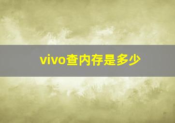 vivo查内存是多少