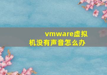 vmware虚拟机没有声音怎么办