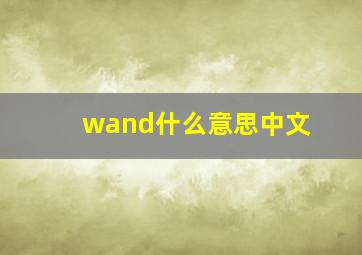 wand什么意思中文