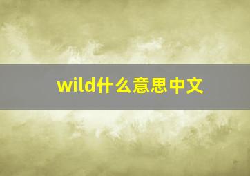 wild什么意思中文