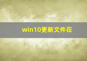 win10更新文件在