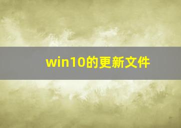 win10的更新文件