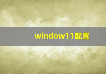 window11配置