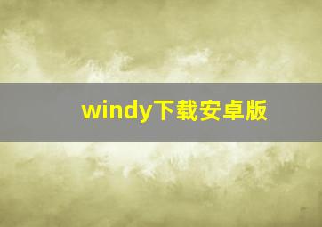 windy下载安卓版