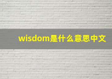 wisdom是什么意思中文