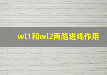 wl1和wl2两路进线作用