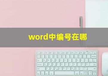 word中编号在哪