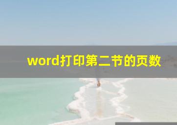 word打印第二节的页数