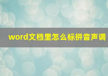 word文档里怎么标拼音声调