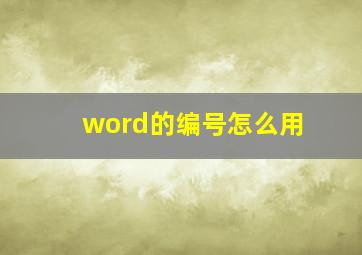 word的编号怎么用