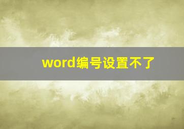 word编号设置不了