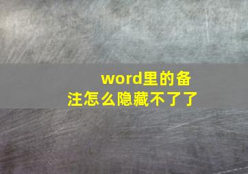 word里的备注怎么隐藏不了了