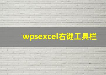 wpsexcel右键工具栏