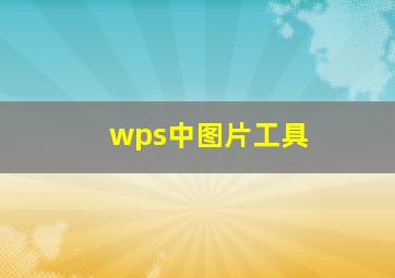 wps中图片工具