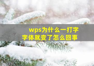 wps为什么一打字字体就变了怎么回事