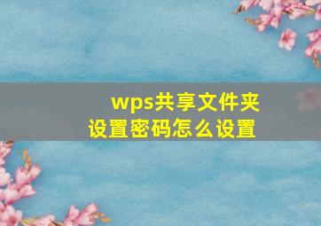 wps共享文件夹设置密码怎么设置