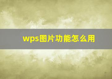 wps图片功能怎么用