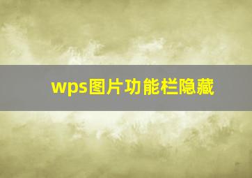 wps图片功能栏隐藏