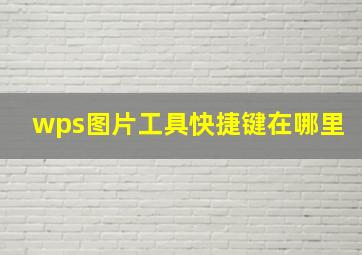 wps图片工具快捷键在哪里