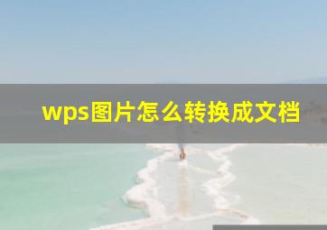 wps图片怎么转换成文档