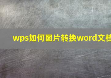 wps如何图片转换word文档