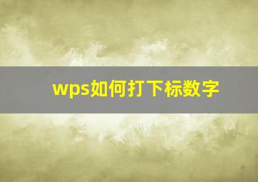 wps如何打下标数字