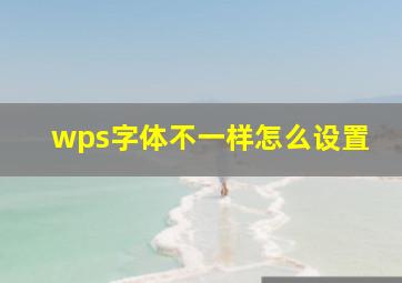 wps字体不一样怎么设置