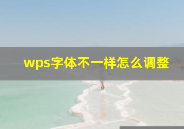 wps字体不一样怎么调整