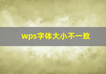 wps字体大小不一致