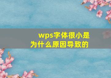 wps字体很小是为什么原因导致的