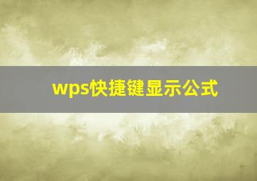 wps快捷键显示公式