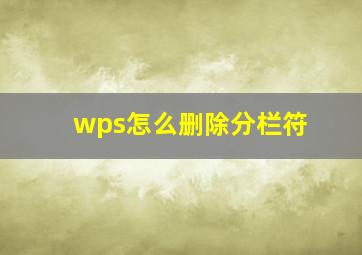 wps怎么删除分栏符