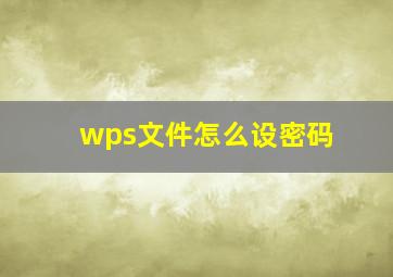 wps文件怎么设密码