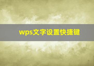 wps文字设置快捷键