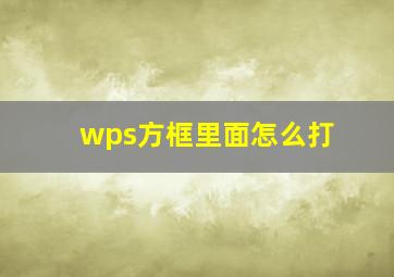 wps方框里面怎么打