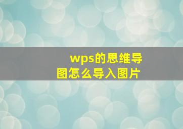 wps的思维导图怎么导入图片