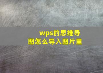 wps的思维导图怎么导入图片里