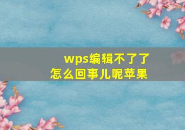 wps编辑不了了怎么回事儿呢苹果