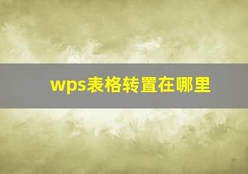 wps表格转置在哪里