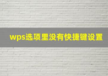 wps选项里没有快捷键设置