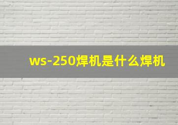 ws-250焊机是什么焊机