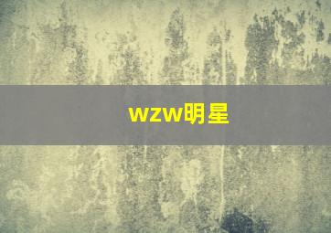 wzw明星