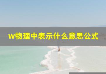 w物理中表示什么意思公式