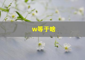 w等于啥