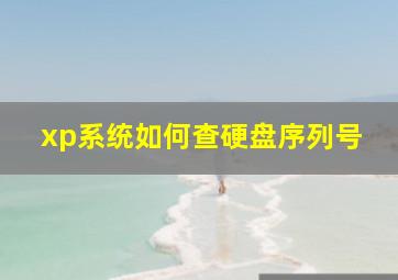 xp系统如何查硬盘序列号