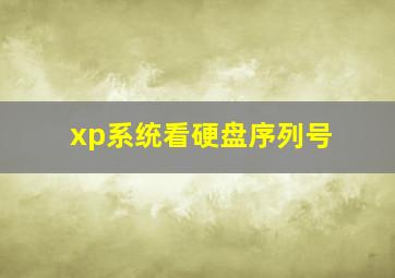 xp系统看硬盘序列号