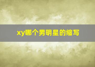 xy哪个男明星的缩写